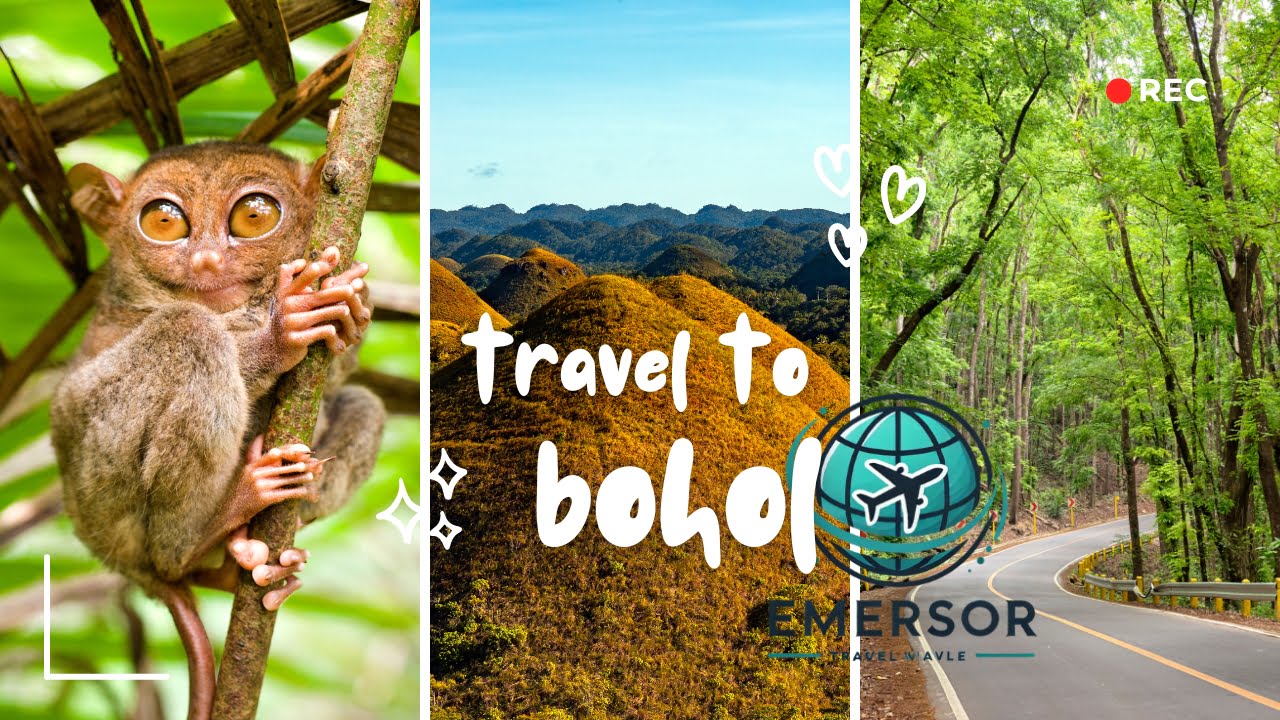 Bohol Guide: Attractions, Hotels, Activities, Food